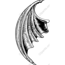 Elegant Wing