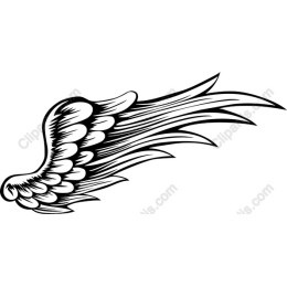 Dynamic Wing