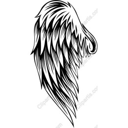 Elegant Wing