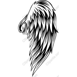 Winged Feather