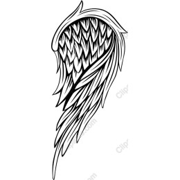 Elegant Wing Clipart