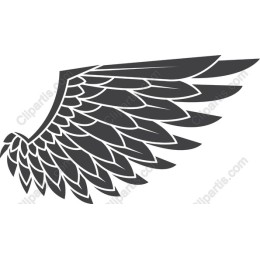 Elegant Wing