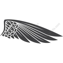 Elegant Wing