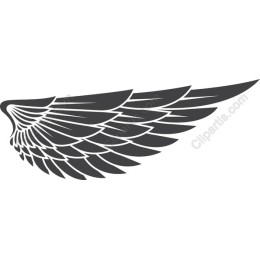 Stylized Wing