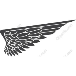 Stylized Wing