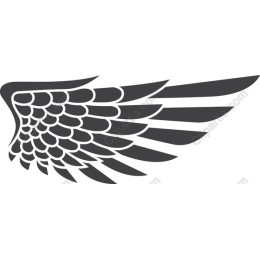 Stylized Bird Wing