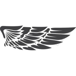 Stylized Wing