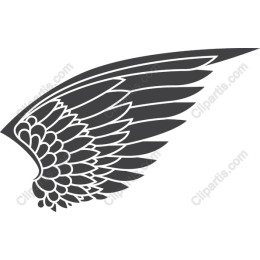 Elegant Wing