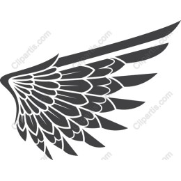 Elegant Bird Wing