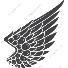 Elegant Wing