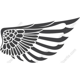Elegant Wing
