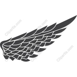 Elegantly Crafted Wing