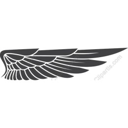 Elegant Wing