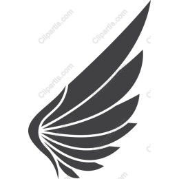 Elegant Wing