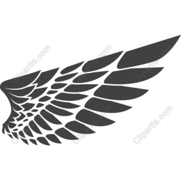 Stylish Wing