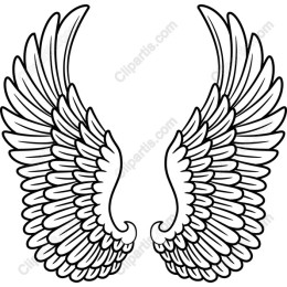 Elegant Angel Wings