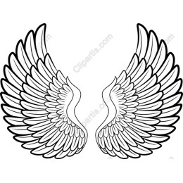 Majestic Wings
