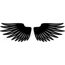 Majestic Black Wings