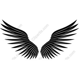 Black Wing