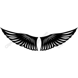 Elegant Wing