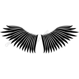 Black Wing
