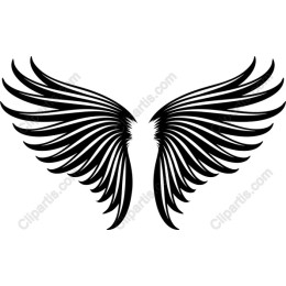 Majestic Wings