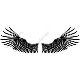 Elegant Angel Wings