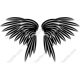 Majestic Black Wing