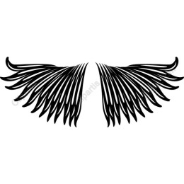 Elegant Wing