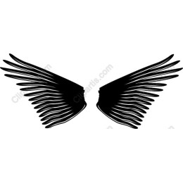 Elegant Black Wing