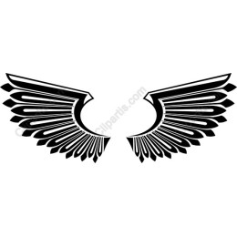 Elegant Wing