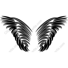  Black Wings