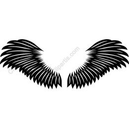 Stylized Wings