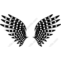 Black and White Wing