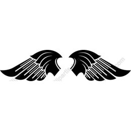 Elegant Black Wing