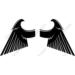 Elegant Black Wing