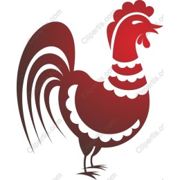 Vibrant Rooster