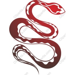 Elegant Snake
