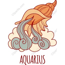 Aquarius Shell
