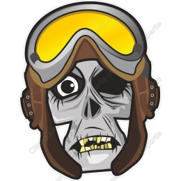 Aviator Skull