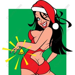 Cheerful Santa Holiday