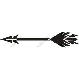 Dynamic Arrow
