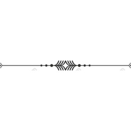 Elegant Decorative Border