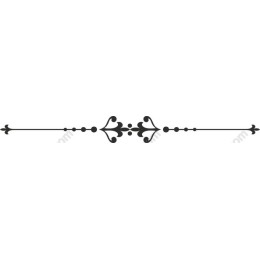 Elegant Black Decorative Divider