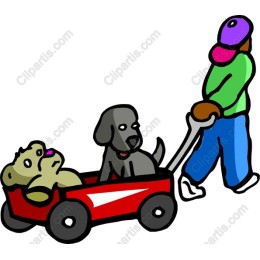 Playful Pet Parade