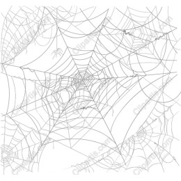 Intricate Spider Web