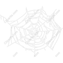 Intricate Spider Web