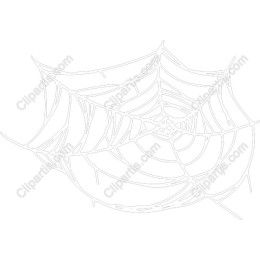 Intricate Spider Web
