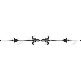 Elegant Decorative Border