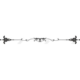 Elegant Floral Ornament
